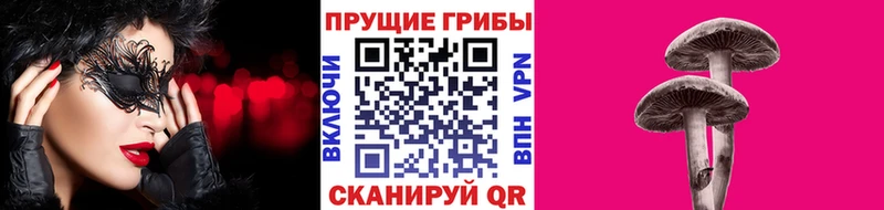 Купить закладки  Чёрмоз  Галлюциногенные грибы MAGIC MUSHROOMS 